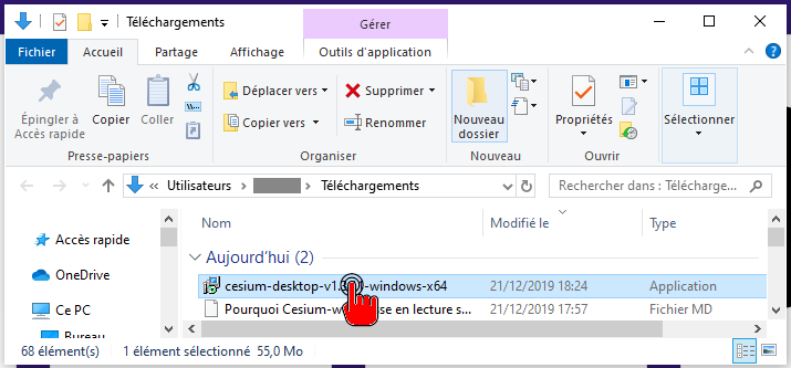 Exécuter cesium-desktop-vXXX.exe